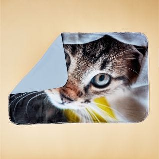 Medium Photo Blanket - (65x100cm)