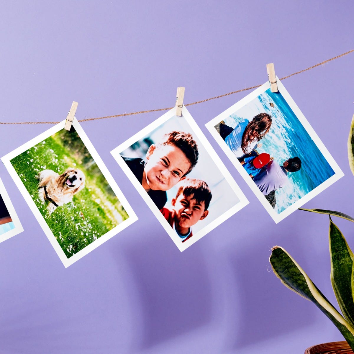 Photo Prints Glossy Matt Prints in Wandsworth Snappy Snaps