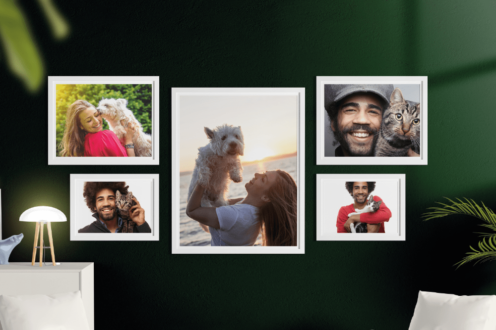 7 pet photography tips for taking better cat and dog photos