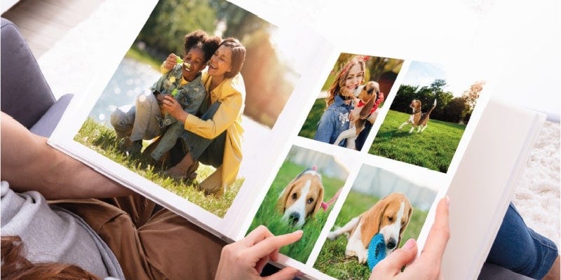 pet photo books