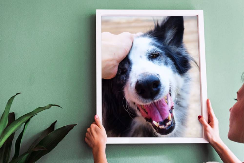 10 creative things to do with your photos